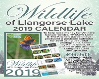 Calendars for Velindre Cancer Care 