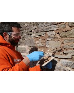 Introduction to Lime Course - 2 days - August (28th - 29th)