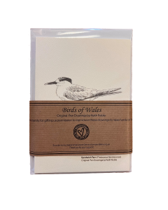 Velindre Charity Card - Birds of Wales 