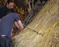 Master Thatcher Alan Jones back at Ty-Mawr 