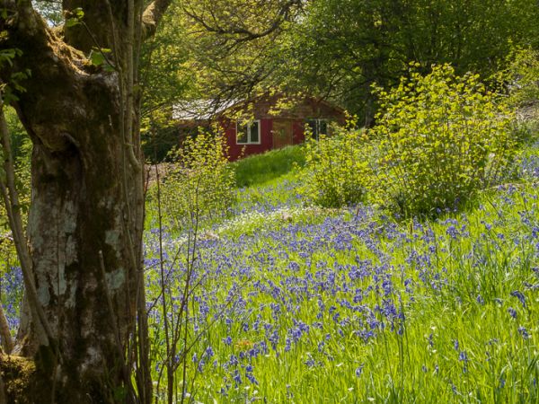 Straw Cottage