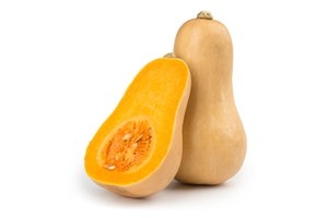 Butternut Squash 